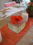 Floating Gerbera flower in square glass box